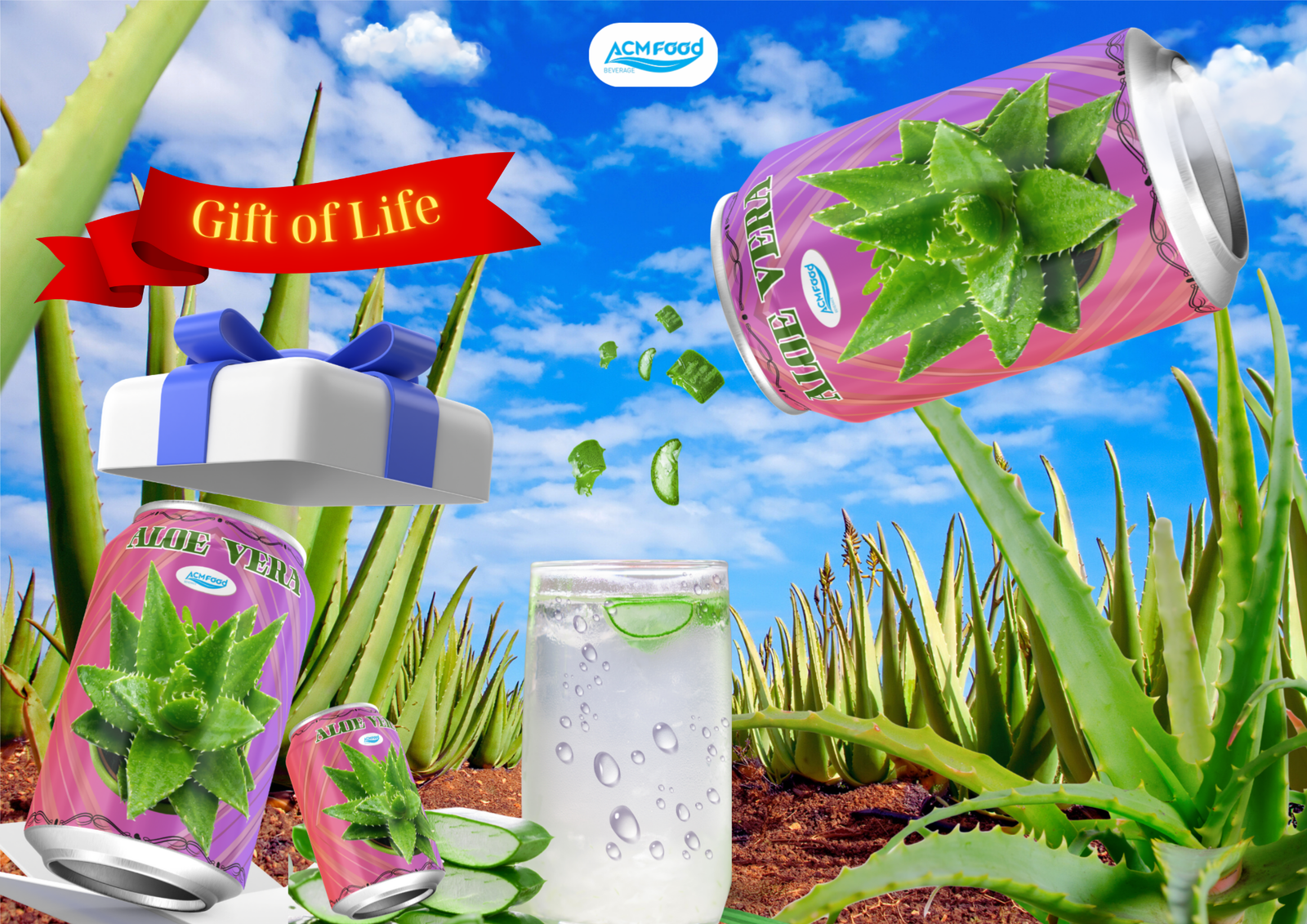 Benefits of Aloe Vera – Reasons Why You Should Use It Every Day