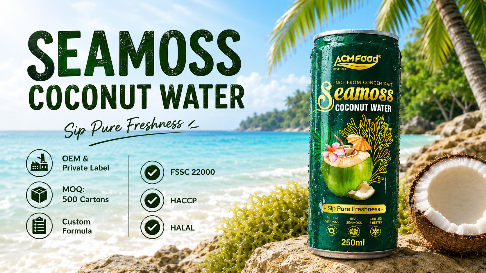 Sea moss coconut water: why this functional beverage trend is taking off