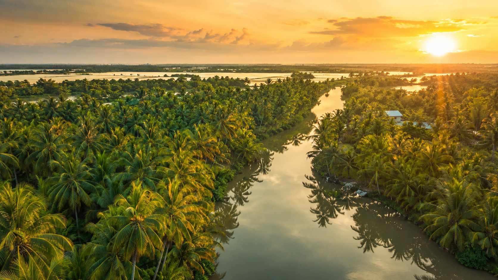 Why Vietnamese coconut water is becoming a preferred choice for global beverage importers
